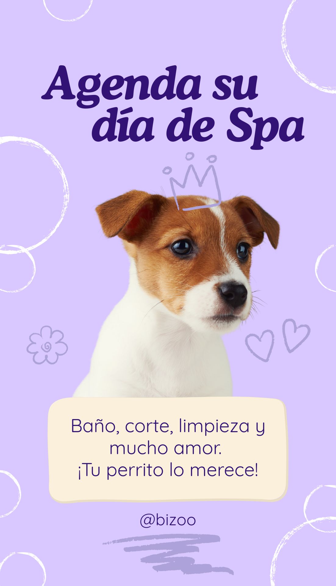 Perro después del baño
